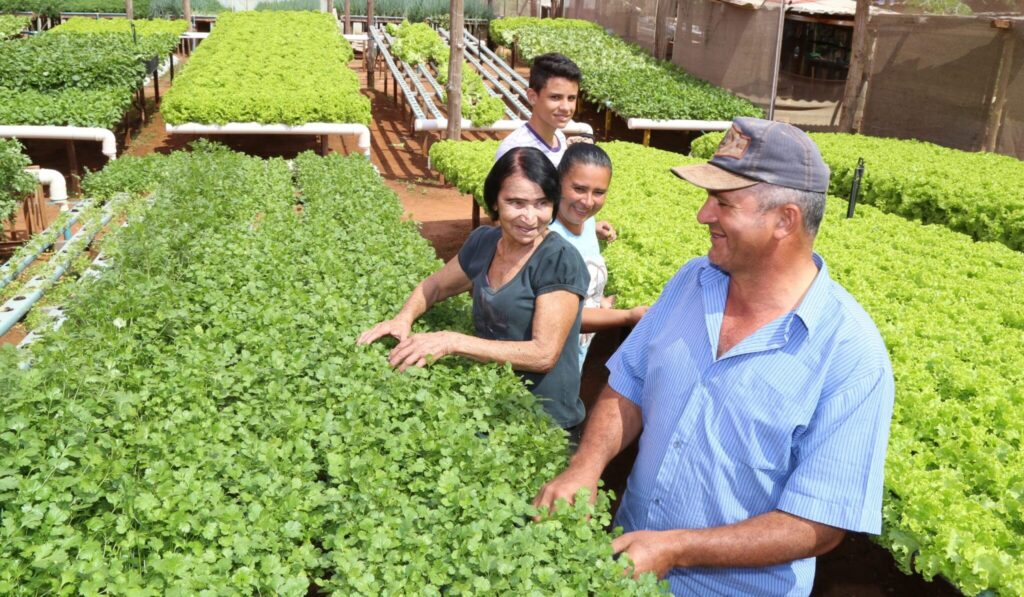 A imagem atual não possui texto alternativo. O nome do arquivo é: AGRICULTURA_FAMILIAR_FOTO-DENILSON-SECRETA-2048x1194-1.jpg